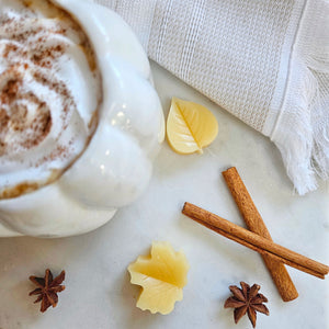 Fall Collection | Wax Melts