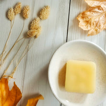 Load image into Gallery viewer, Fall Collection | Wax Melts

